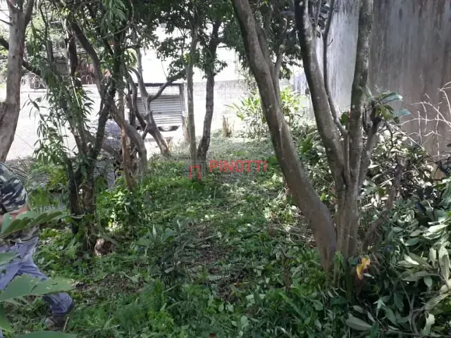 Terreno à venda, no bairro Parque dos Pássaros em São Bernardo do Campo