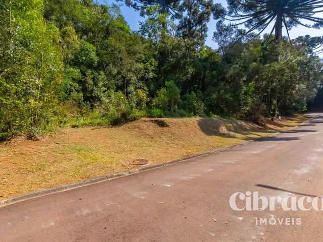 Terreno à venda, no bairro Orleans em Curitiba