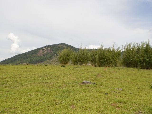Terreno com 20000m², à venda, no bairro Penha em Bragança Paulista