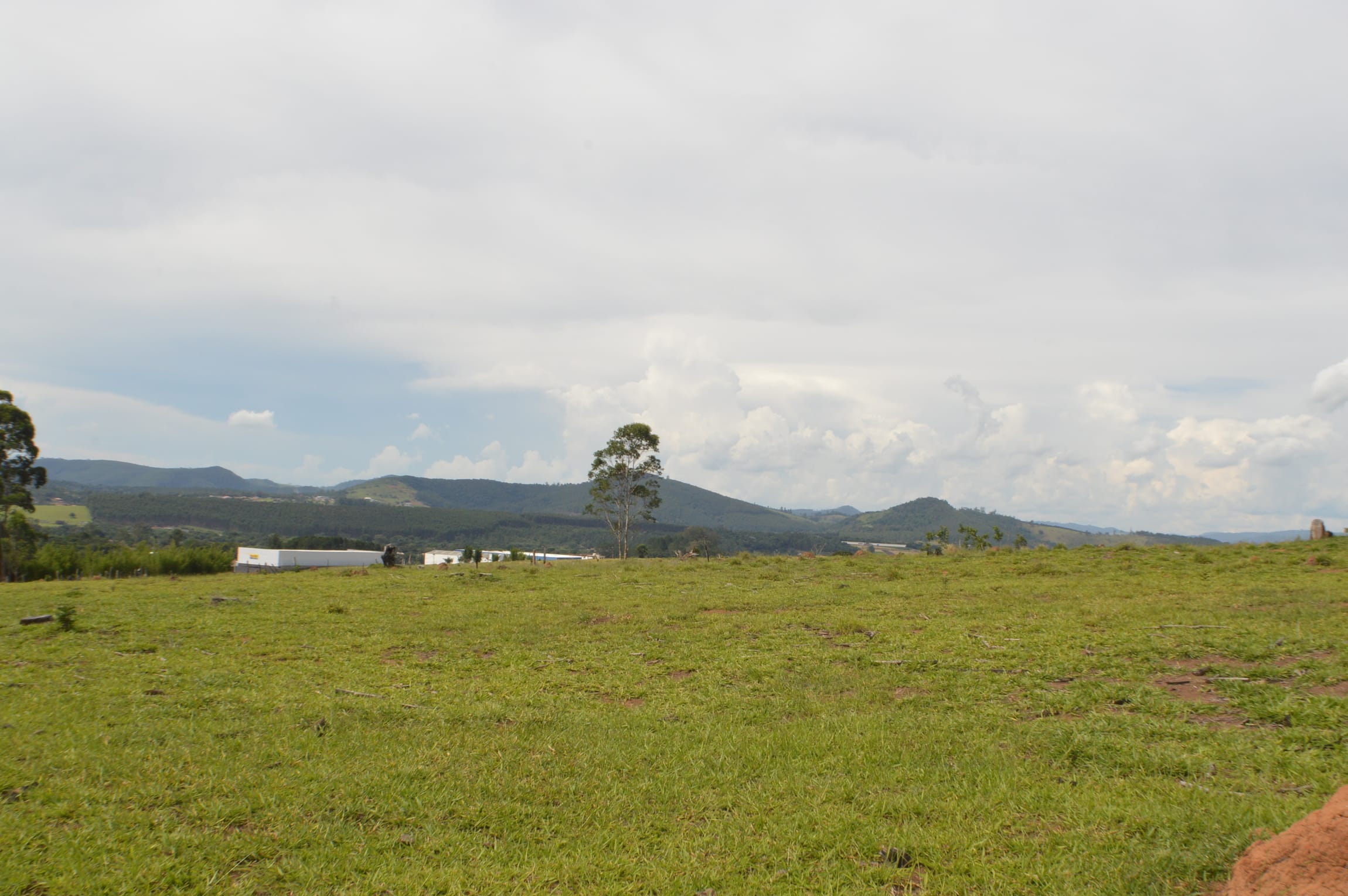 Terreno, 2 hectares - Foto 3
