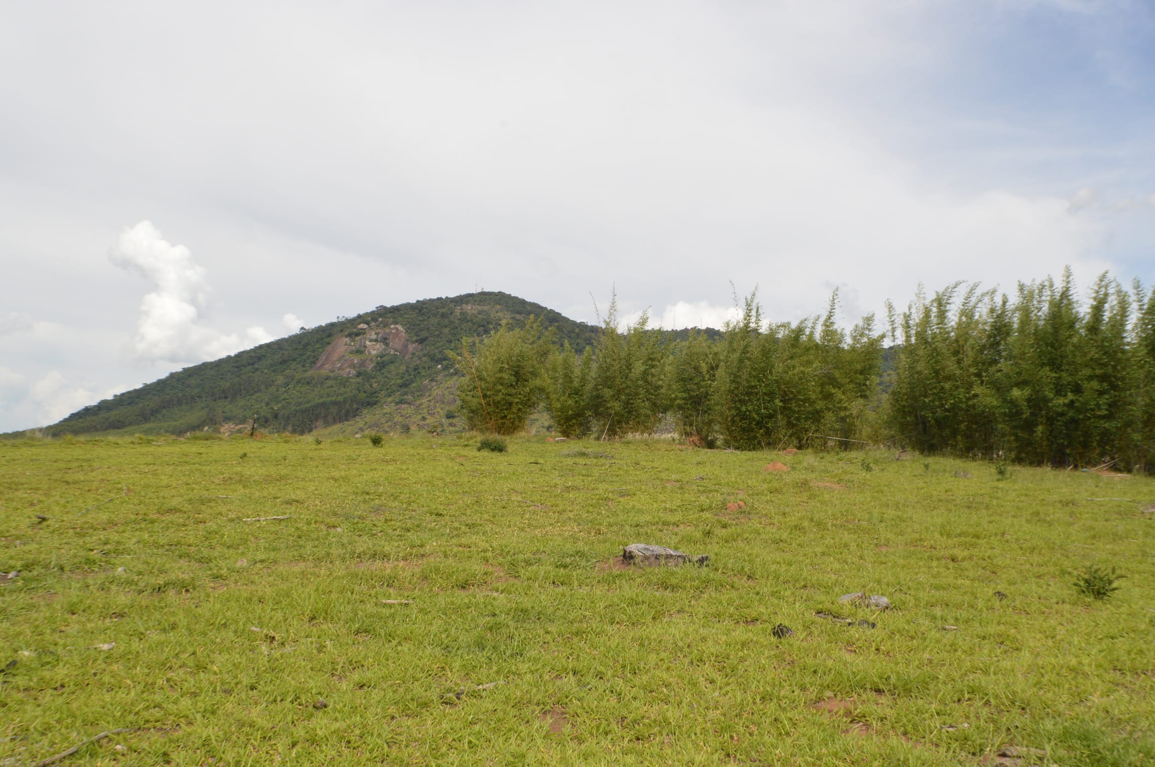 Terreno, 2 hectares - Foto 4