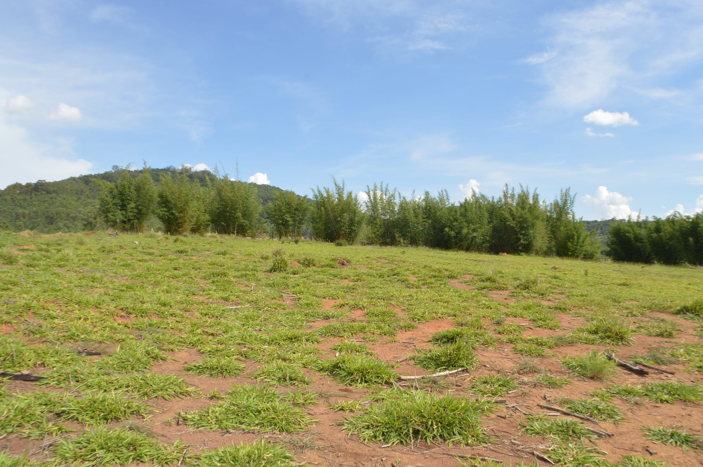 Terreno, 2 hectares - Foto 6