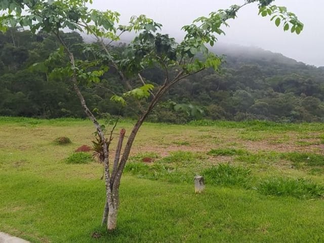 Terreno com 125m², à venda, no bairro Sítio Boa Vista em Cotia