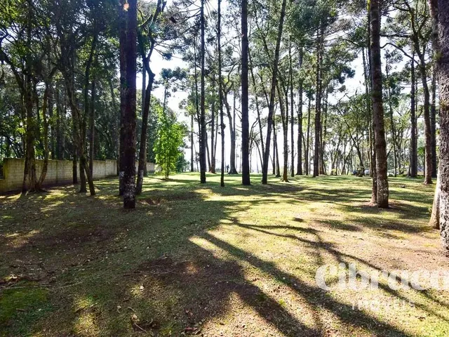 Terreno com 3645m², à venda, no bairro Jardim Esmeralda em Piraquara