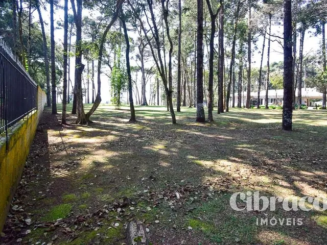 Terreno com 3645m², à venda, no bairro Jardim Esmeralda em Piraquara