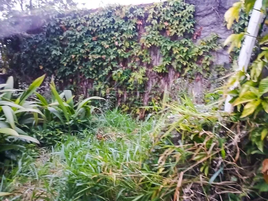 Terreno, 411 m² - Foto 2