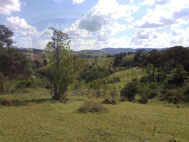 Terreno com 2300m², à venda, no bairro Toledo em Toledo