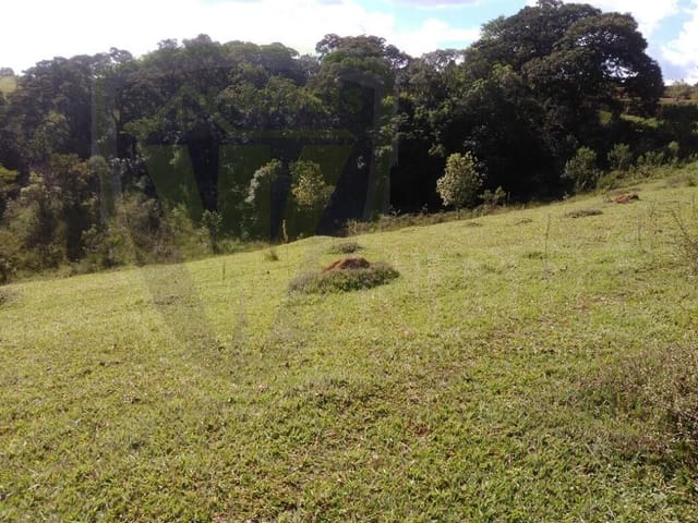 Terreno com 2300m², à venda, no bairro Toledo em Toledo