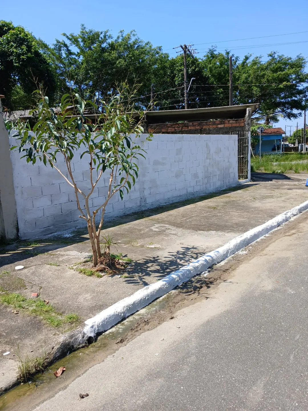 Terreno residencial para venda em Jardim Solemar, 280m²