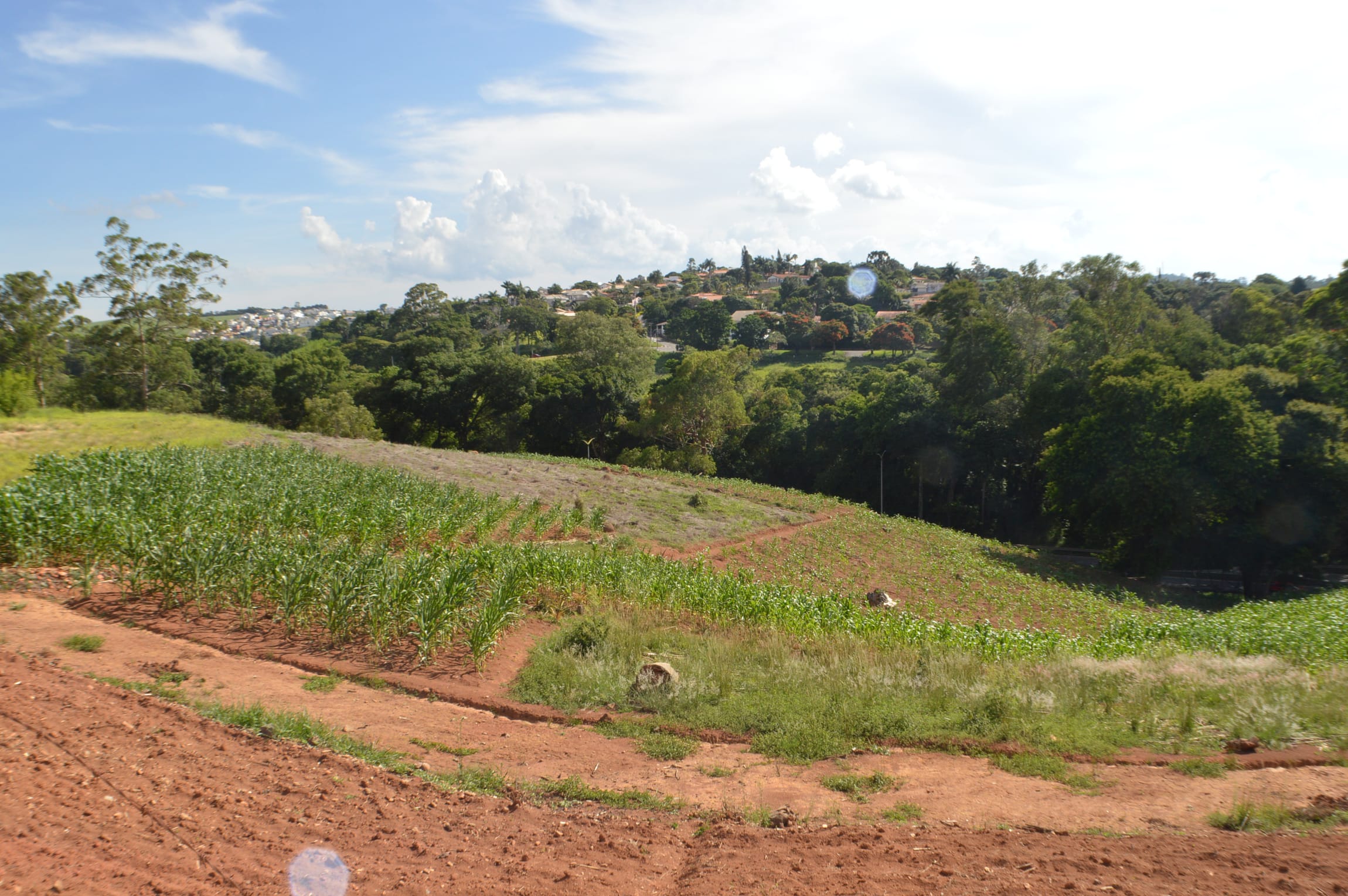 Terreno, 2 hectares - Foto 4