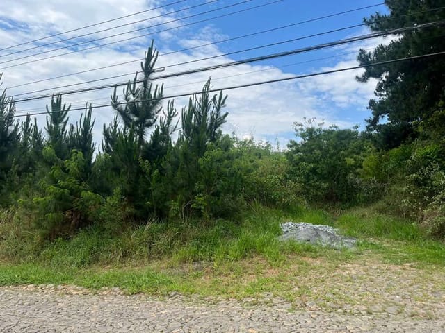 Terreno com 4973m², à venda, no bairro Paisagem Renoir em Cotia