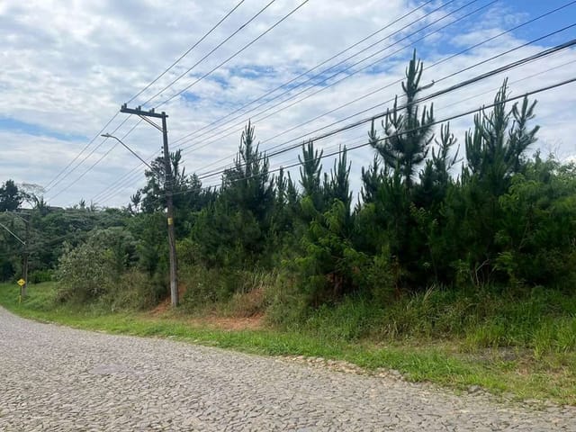 Terreno com 4973m², à venda, no bairro Paisagem Renoir em Cotia
