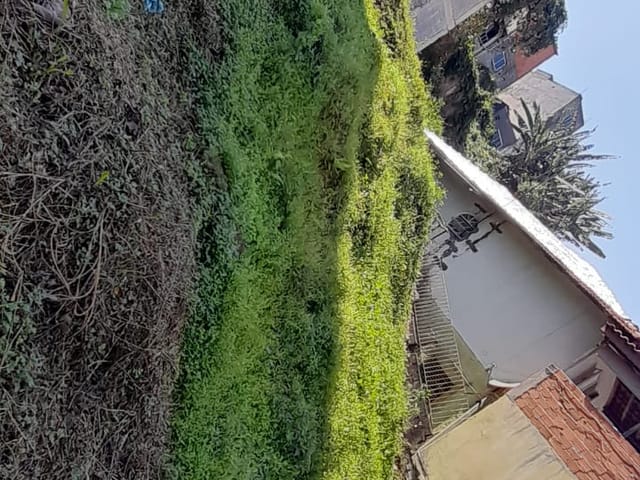 Foto do Terreno - Terreno residencial para venda em Serpa, 335m² | Lares e Andares Imóveis