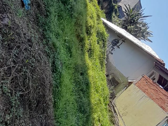 Foto do Terreno - Terreno residencial para venda em Serpa, 335m² | Lares e Andares Imóveis