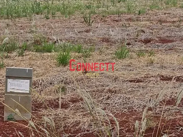 Terreno com 250m², à venda, no bairro Recreio Anhangüera em Ribeirão Preto