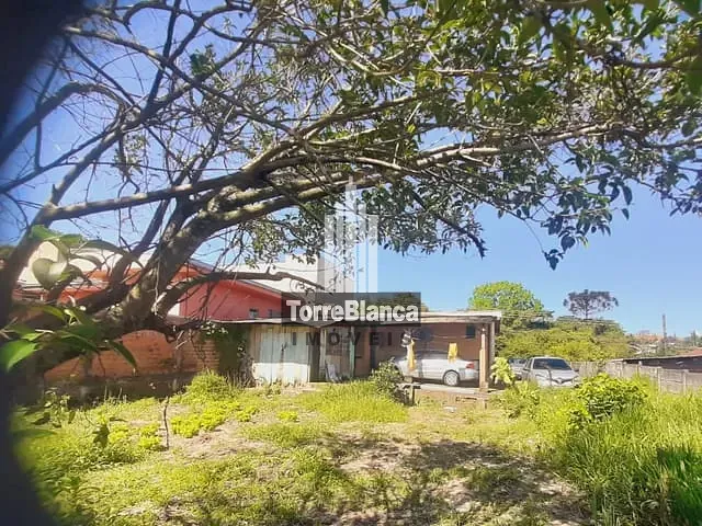 Terreno com 462m², à venda, no bairro Ronda em Ponta Grossa