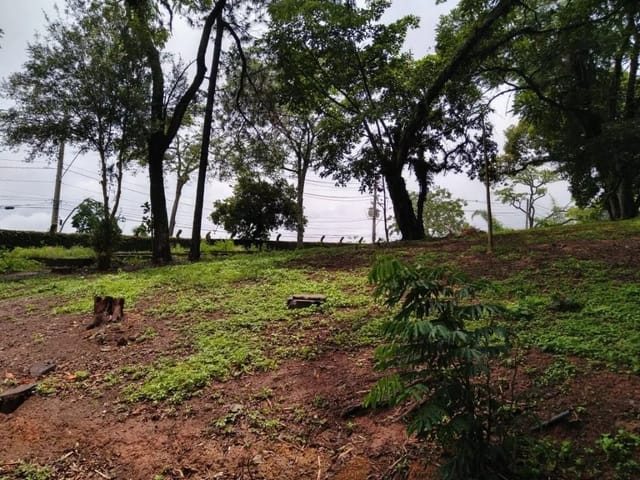 Terreno com 5146m², à venda, no bairro Chácara Santa Lúcia em Carapicuíba