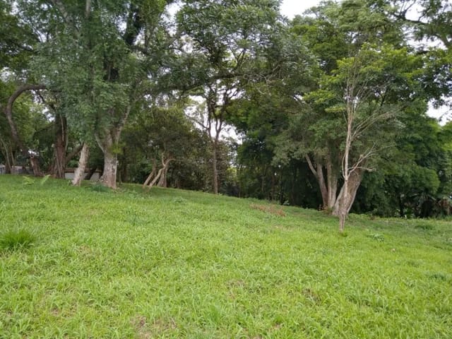 Terreno com 5146m², à venda, no bairro Chácara Santa Lúcia em Carapicuíba