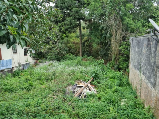 Terreno com 444m², à venda, no bairro Vista Alegre em Curitiba