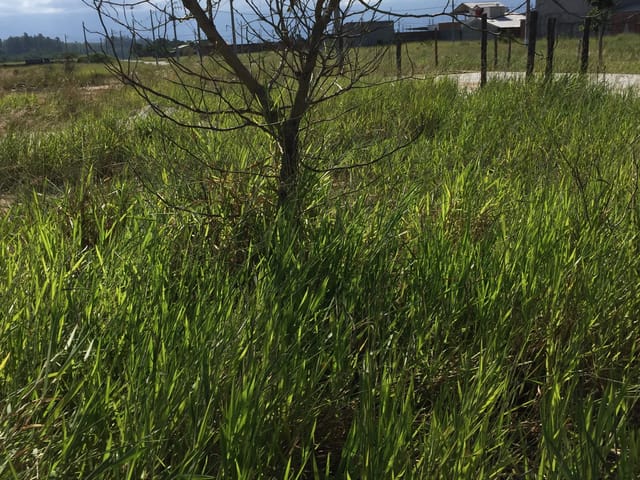 Terreno com 225m², à venda, no bairro Moreira César em Pindamonhangaba
