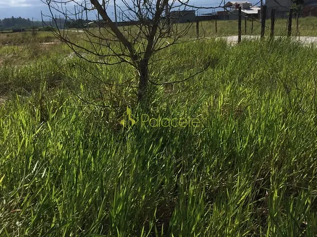 Terreno com 225m², à venda, no bairro Moreira César em Pindamonhangaba