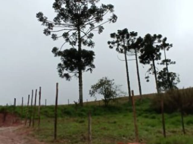Terreno com 435m², à venda, no bairro Cachoeira em Cotia