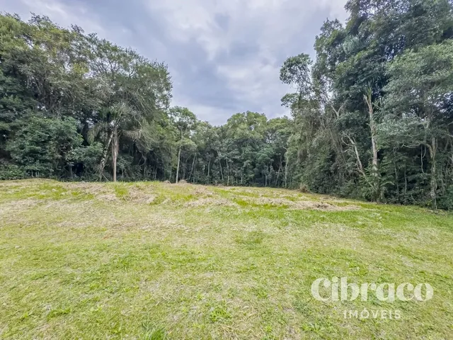 Terreno com 3794m², à venda, no bairro Jardim Pio XII em Pinhais