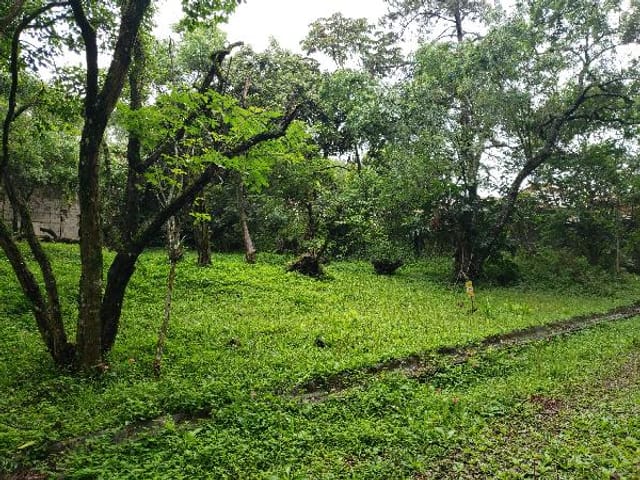 Foto do Terreno - Terreno à venda 10M², JARDIM GRAMADO II, COTIA - SP | Imobiliária Compare