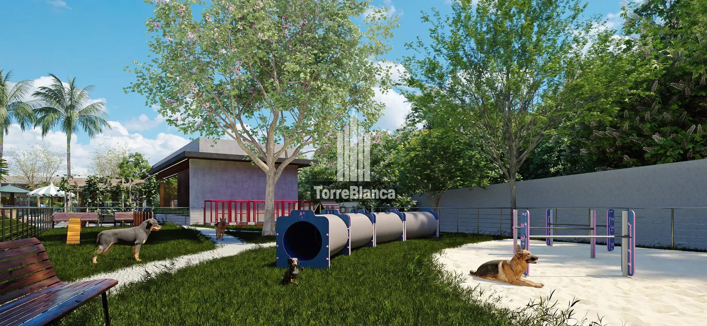 Terreno, 200 m² - Foto 17