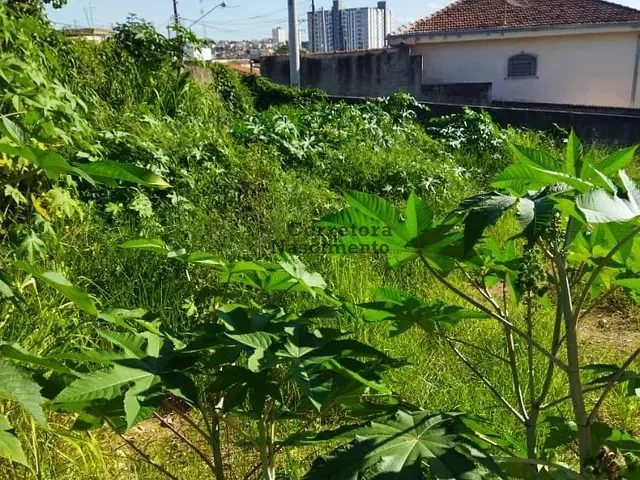 Terreno com 500m², para alugar, no bairro Jardim das Indústrias em Jacareí