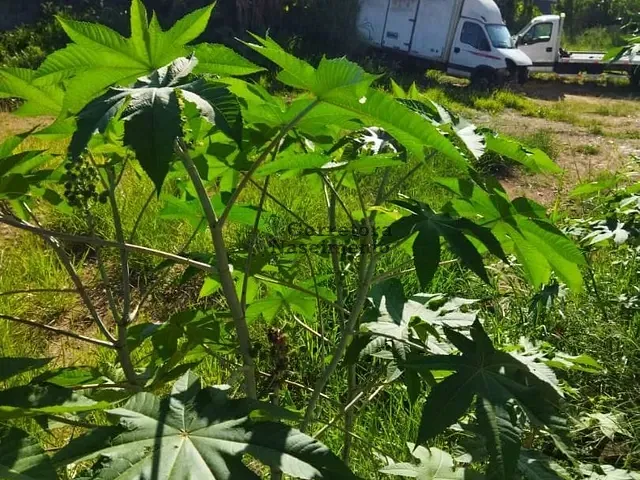 Terreno com 500m², para alugar, no bairro Jardim das Indústrias em Jacareí