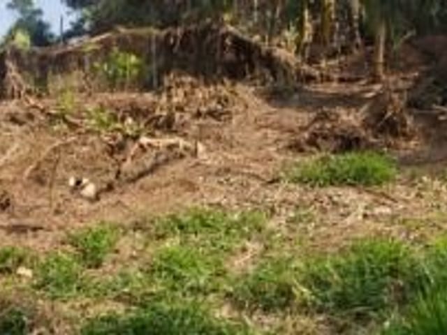 Terreno com 1782m², à venda, no bairro Granja Carneiro Viana em Cotia