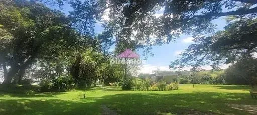 Terreno, 500 m² - Foto 8