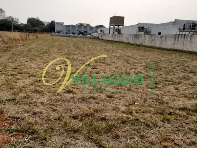 Terreno com 5000m², à venda, no bairro Jardim Moyses Miguel Haddad, em São José do Rio Preto