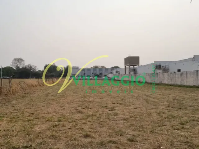 Terreno com 5000m², à venda, no bairro Jardim Moyses Miguel Haddad, em São José do Rio Preto