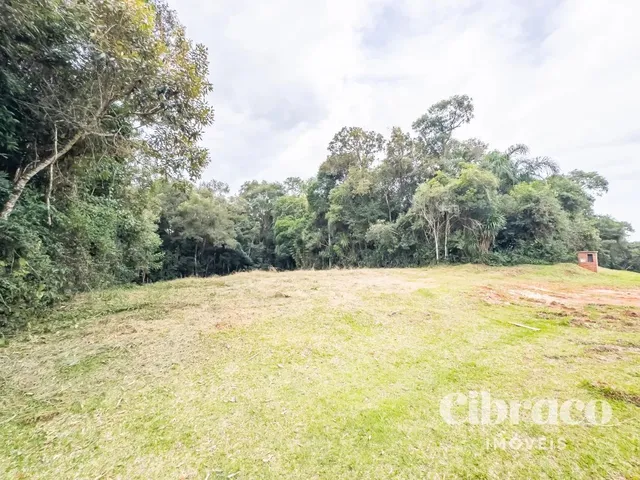 Terreno com 2767m², à venda, no bairro Jardim Pio XII em Pinhais