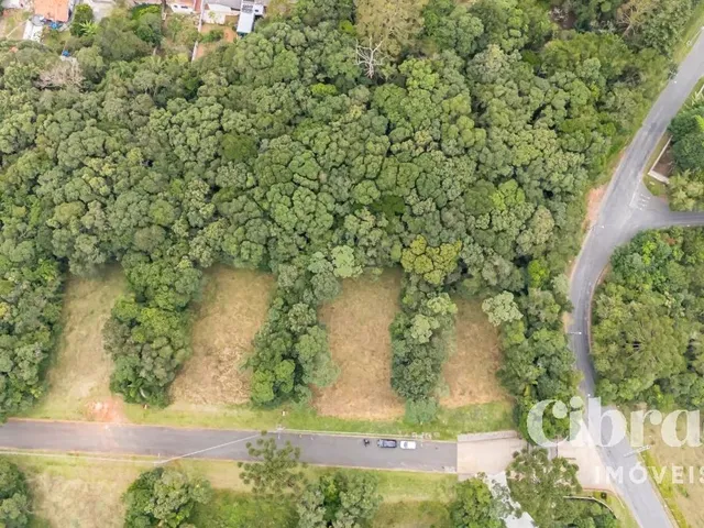 Terreno com 2767m², à venda, no bairro Jardim Pio XII em Pinhais