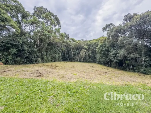Terreno com 2767m², à venda, no bairro Jardim Pio XII em Pinhais
