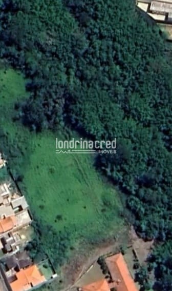 Terreno, 4 hectares - Foto 8