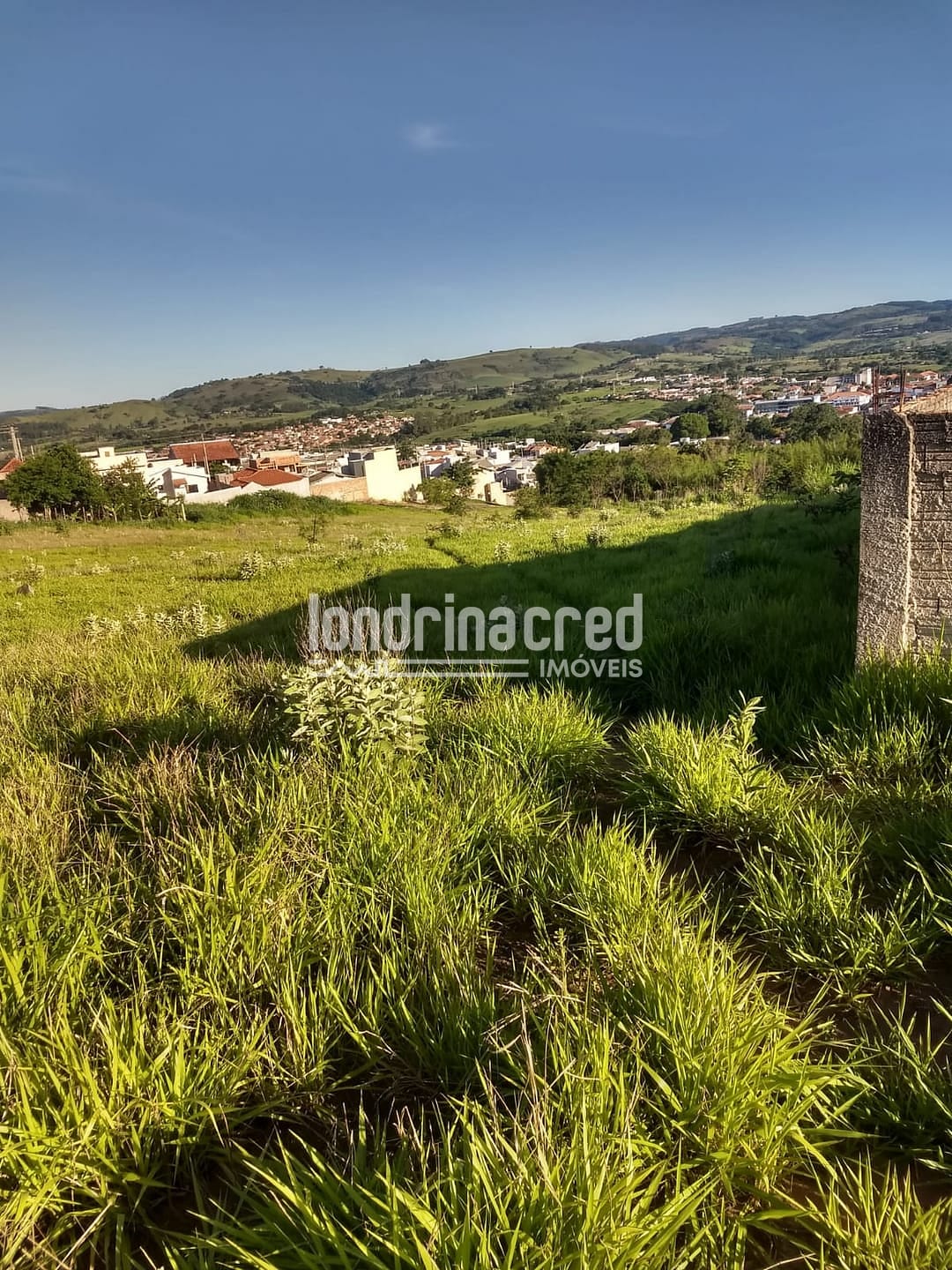 Terreno, 4 hectares - Foto 6