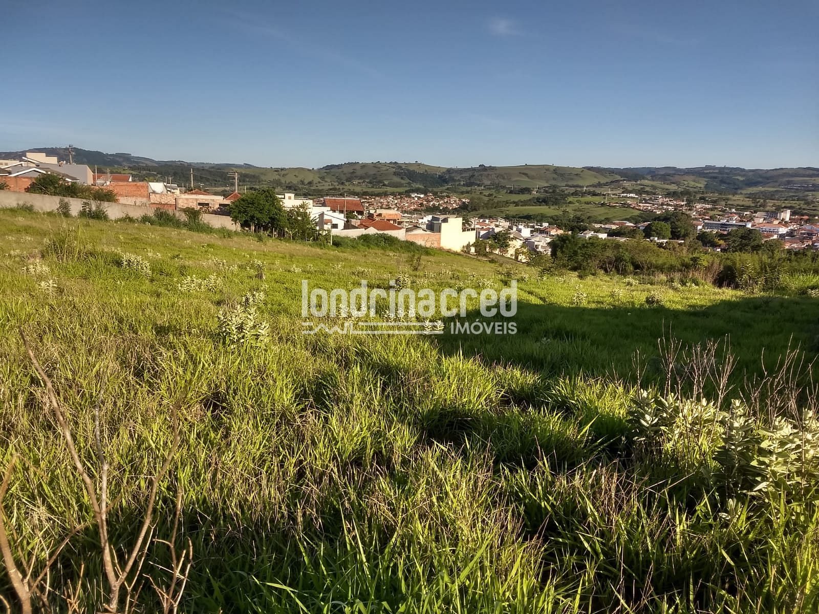 Terreno, 4 hectares - Foto 5