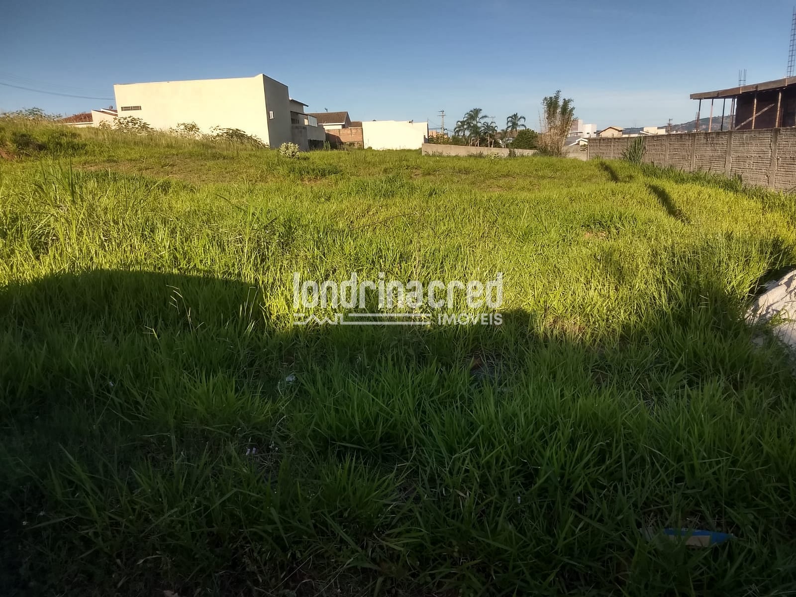Terreno, 4 hectares - Foto 1