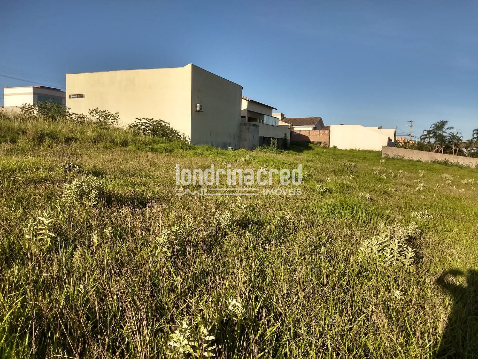 Terreno, 4 hectares - Foto 2