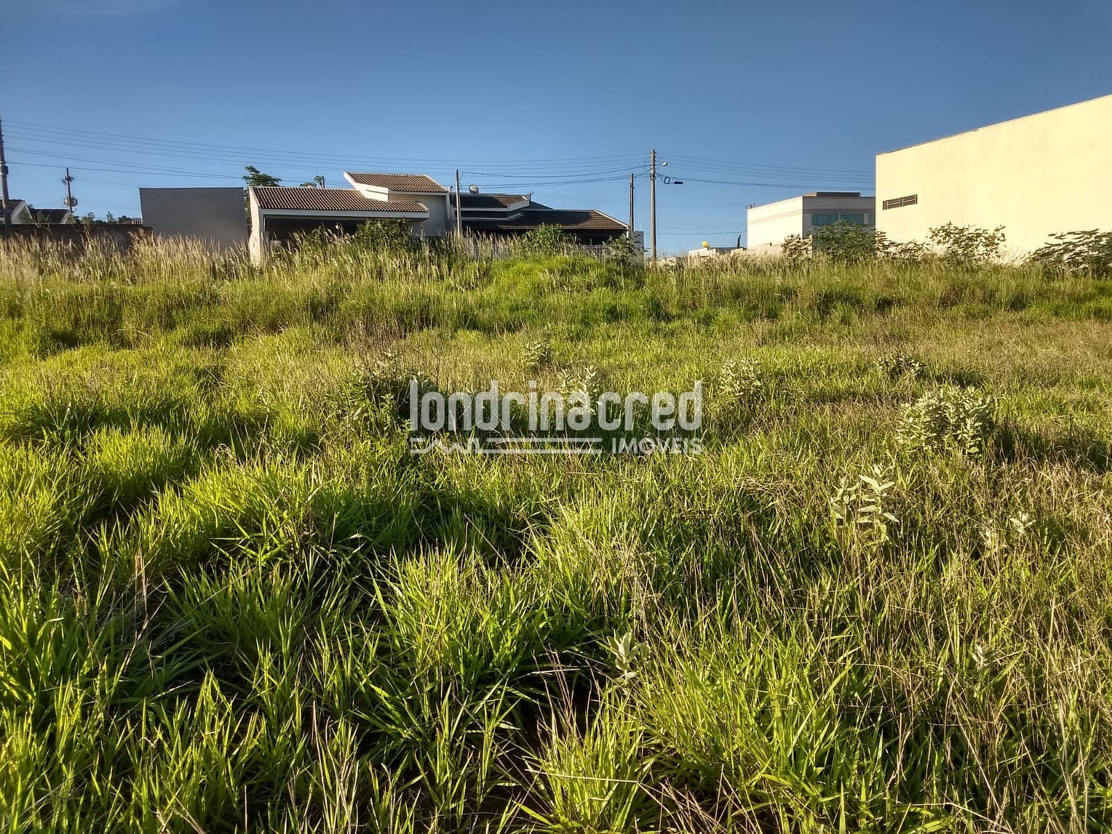 Terreno, 4 hectares - Foto 3