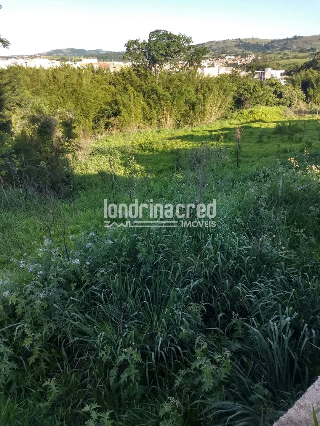 Terreno, 4 hectares - Foto 7