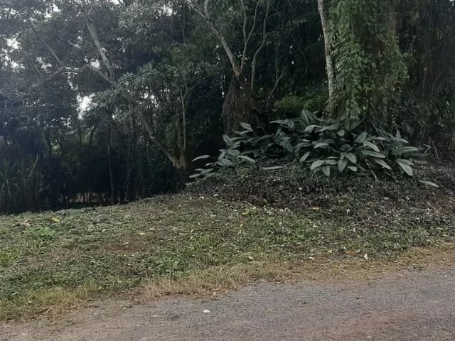 Terreno com 500m², à venda, no bairro Parque das Rosas em Cotia
