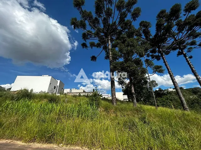 Terreno com 401m², à venda, no bairro Estrela em Ponta Grossa