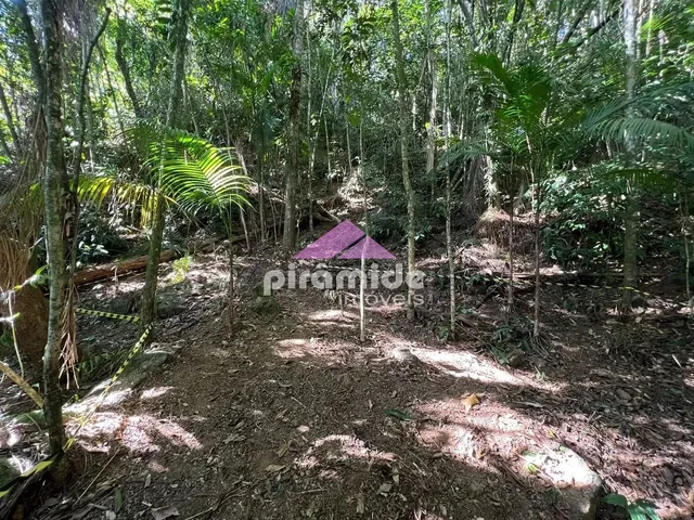 Terreno com 4000m², à venda, no bairro Praia da Lagoinha em Ubatuba