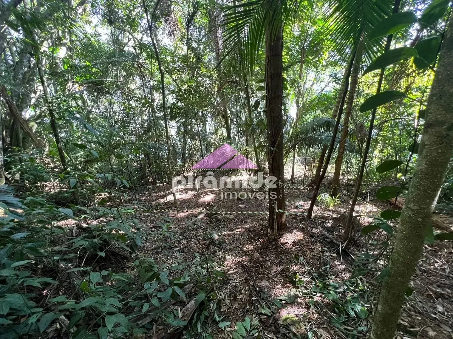 Terreno, 4000 m² - Foto 13