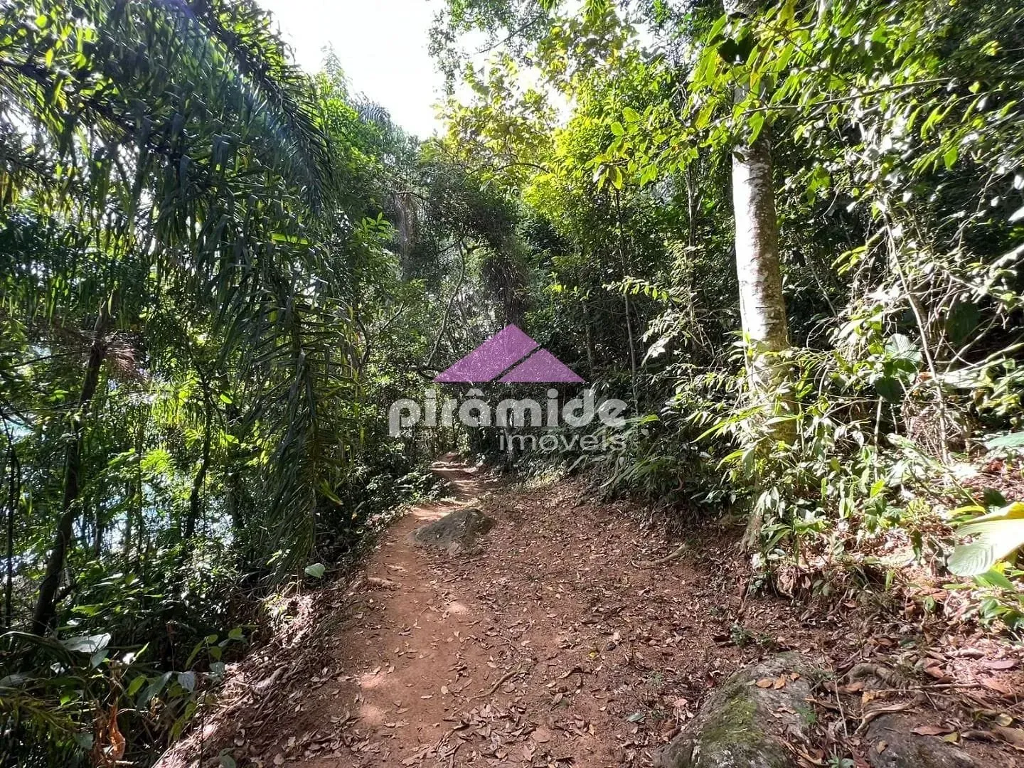 Terreno, 4000 m² - Foto 14